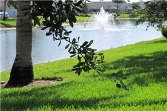 Lake View Right
