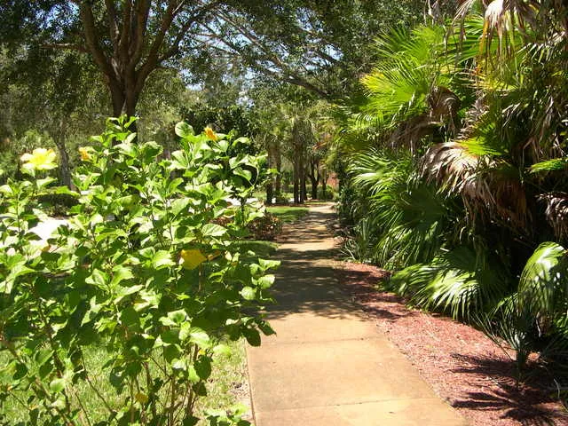 Tropical Foliage Setting