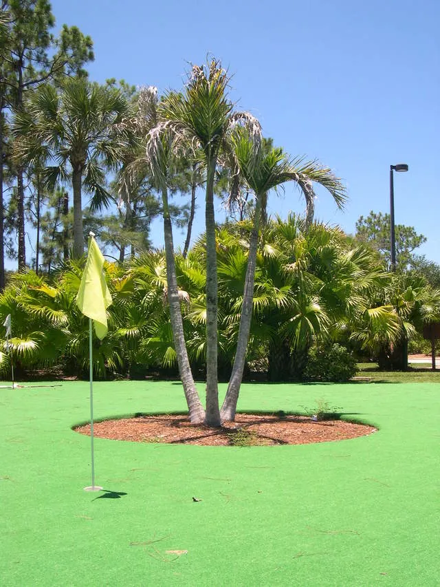 Miniature Putting Green