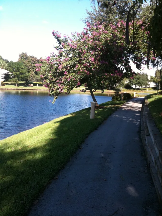 Enjoy a walking path around a lake located within steps from our condo.