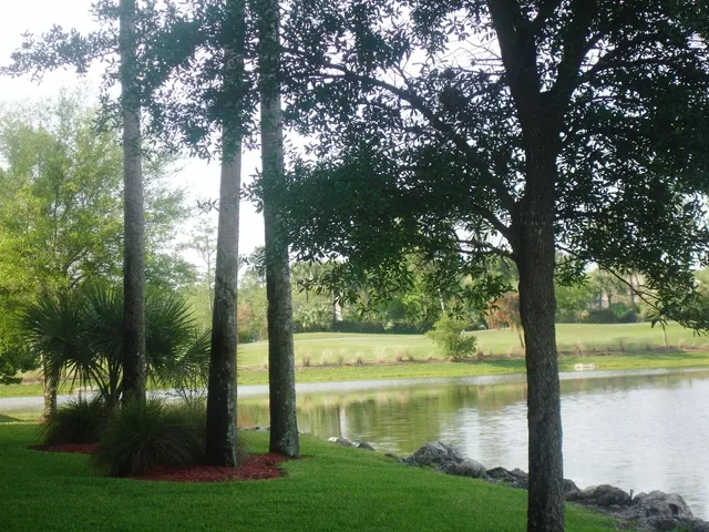 View from the back of the building