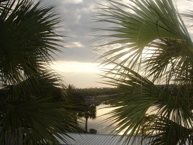 View from the front of the condo