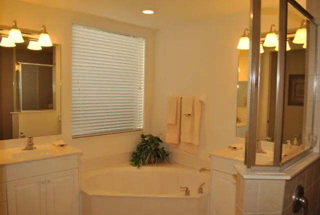 Master bathroom