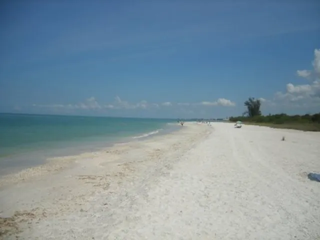 Landmark, North Naples photo 1