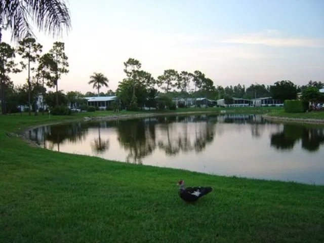 Landmark, North Naples photo 6