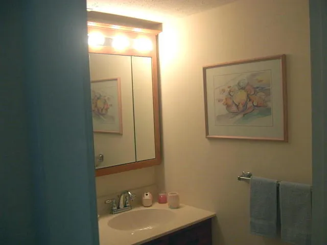 Guest bath with tub and shower combo.