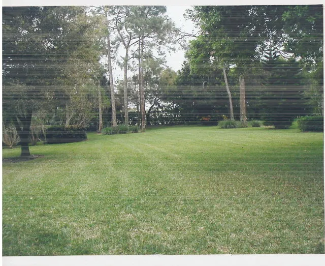 Back Yard Rear View of Home from Pool Area