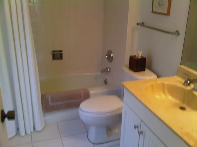 Bath in Master Bedroom