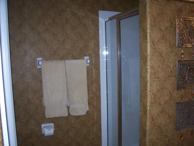 MASTER BATHROOM SHOWER
