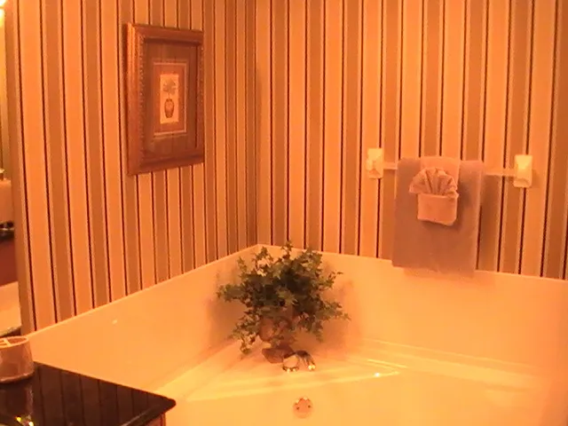 Master bathroom with corner bath and large walk-in shower