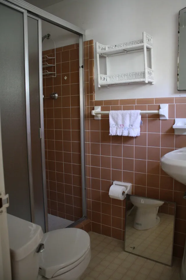 THIRD BATHROOM WITH LARGE WALK IN SHOWER.