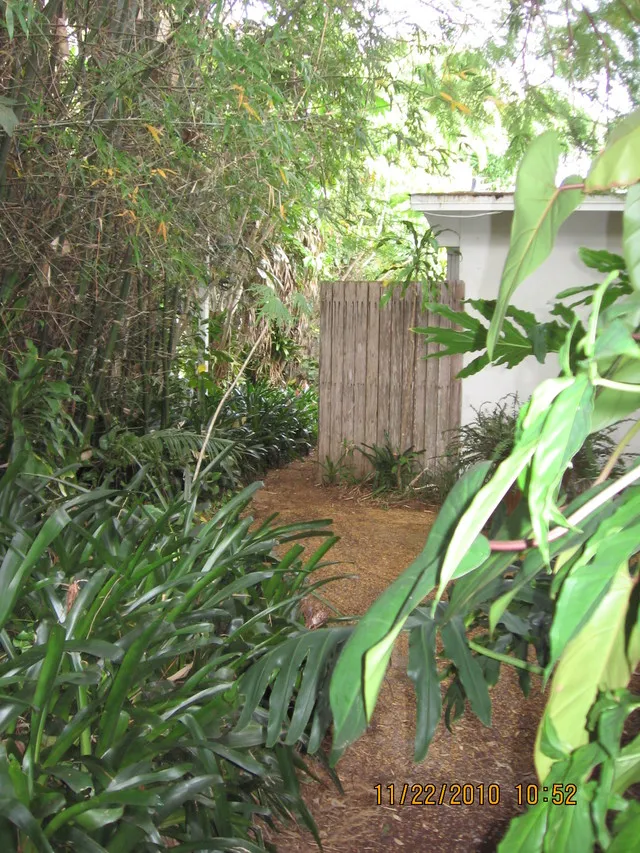 LUSH TROPICAL GROWTH AT THE SIDE OF HOME