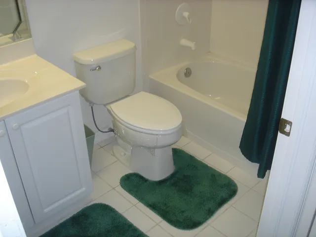Main bathroom