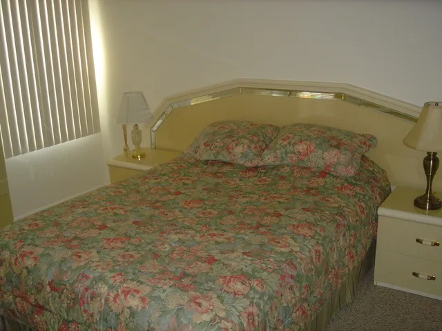 Master bedroom with 2 dressers and 2 closets ( 1 walk-in)