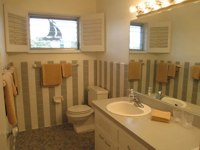 guest bath with shower