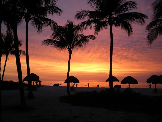 Enjoy the beach just accross   