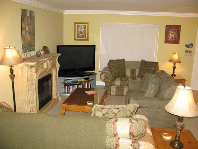 Living room with plasma screen and electric fireplace