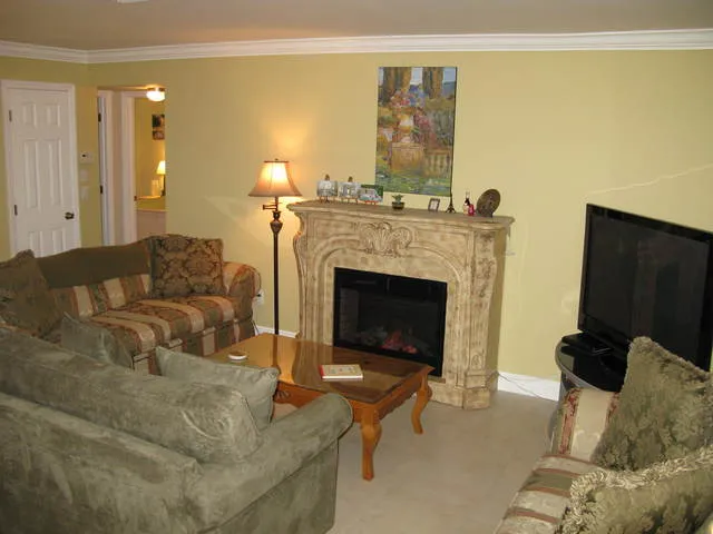 Living room with plasma screen and electric fireplace