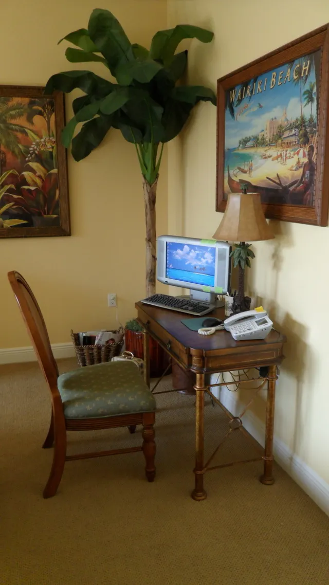 Desk w Computer and Music Library ..when you need contact with the world