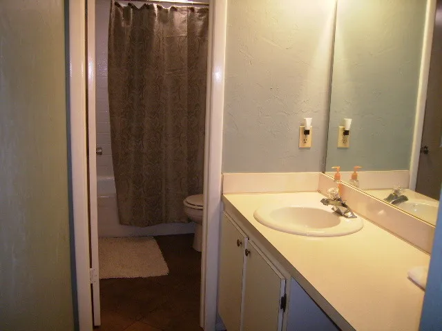 master bath with separate vanity area