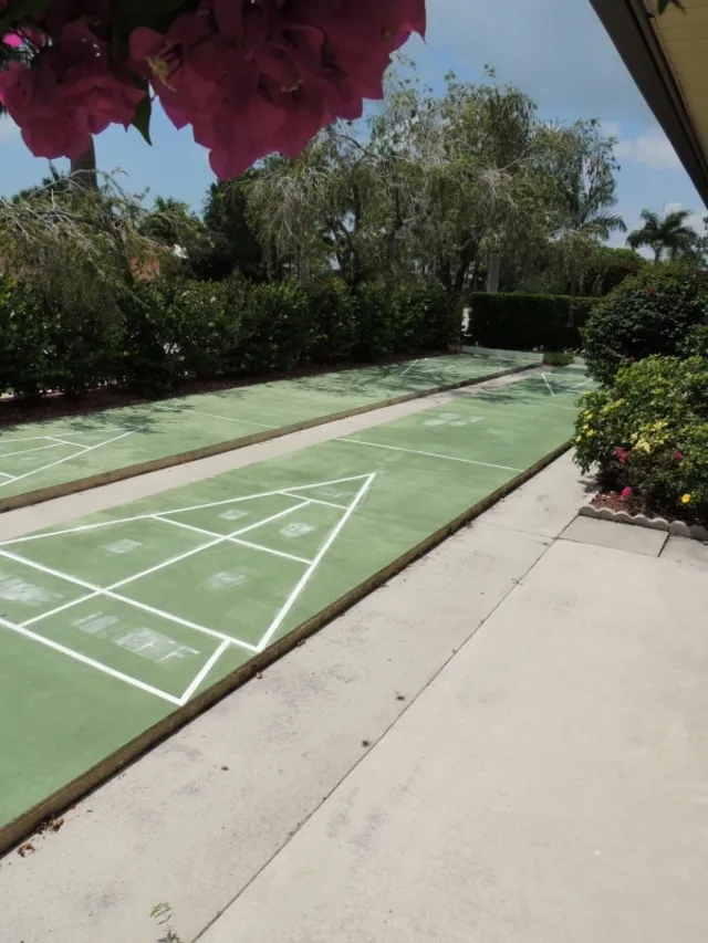 Shuffle board! 