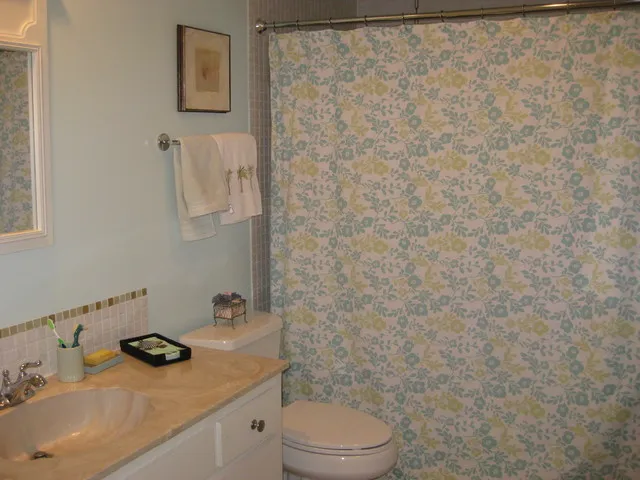 Guest bath