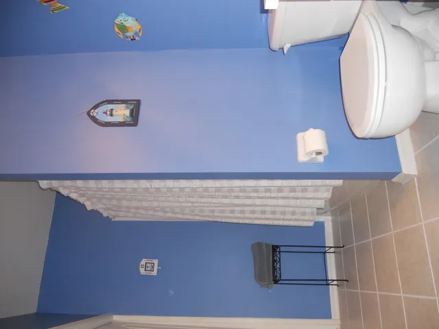 Guest bathroom