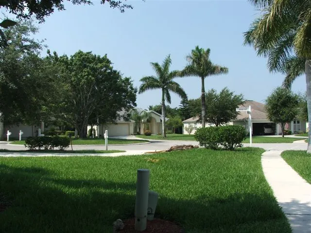 View from Driveway