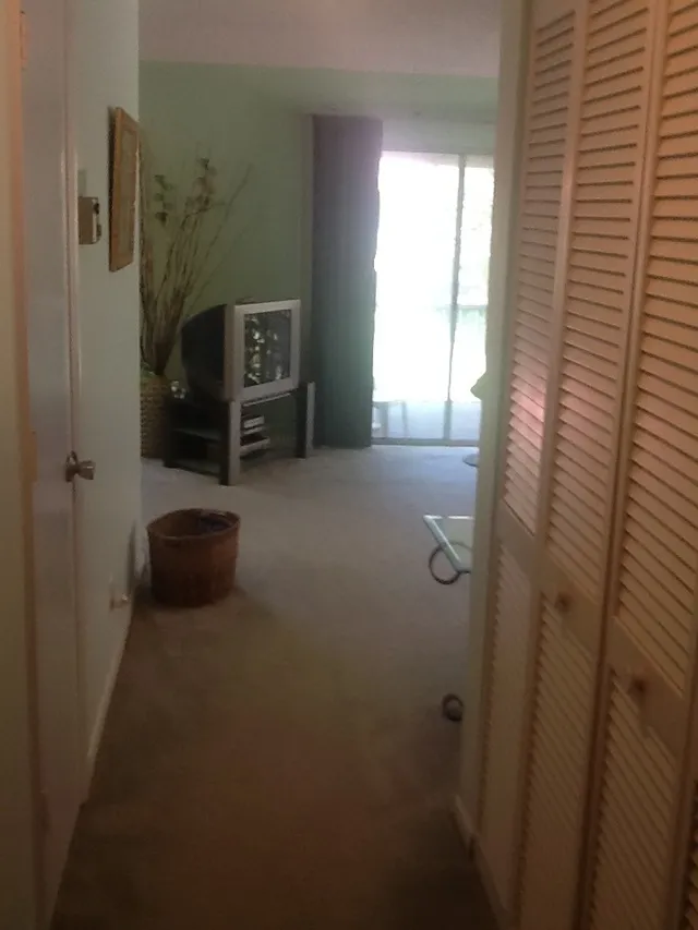 Hallway and laundry closet.