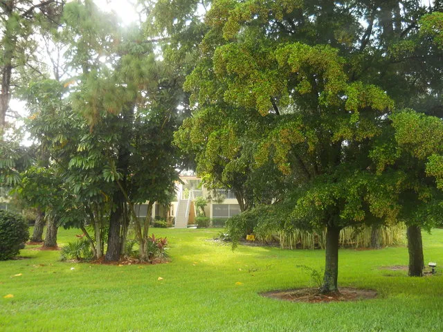Complex grounds.
