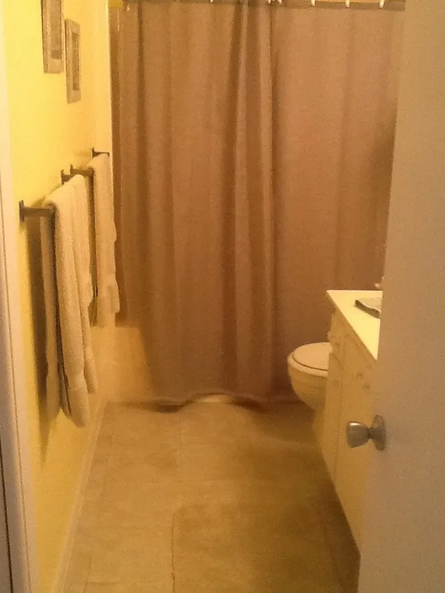 Guest bath.