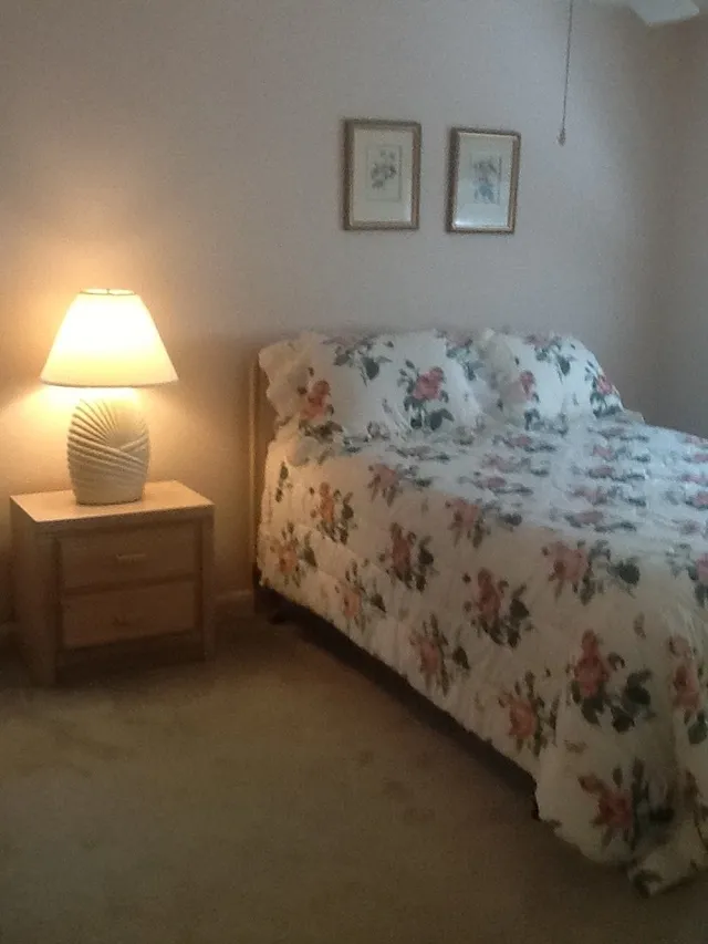 Master bedroom with queen bed.