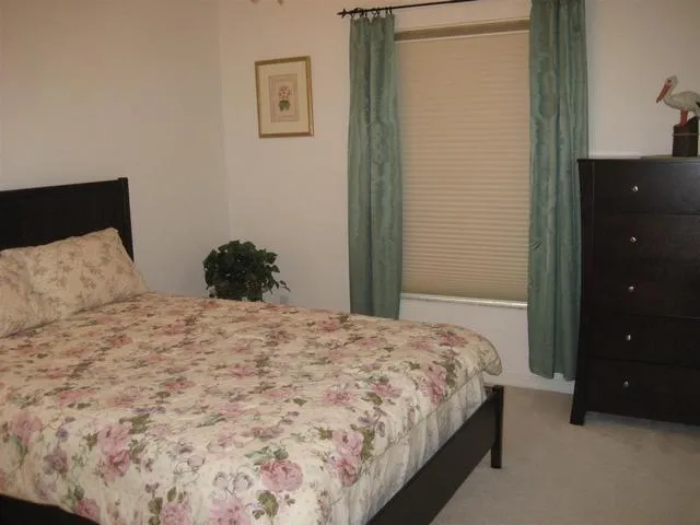 Beautiful villa with heated pool near beach photo 2
