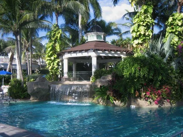 More of Fiddler's Creek Pool!
