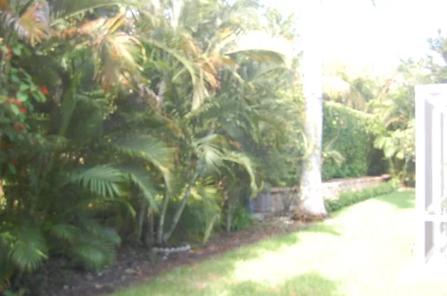Complete privacy, without being overgrown.