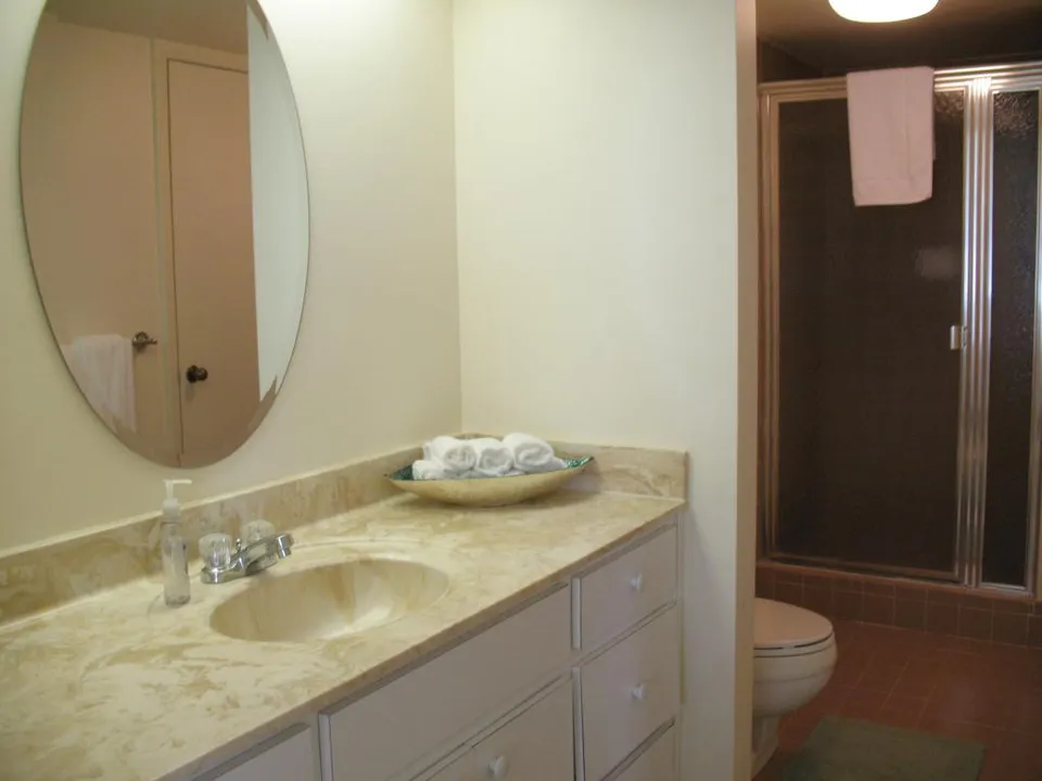 Guest bath