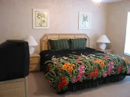 Lovely lakeview home in CrownPoint photo 12