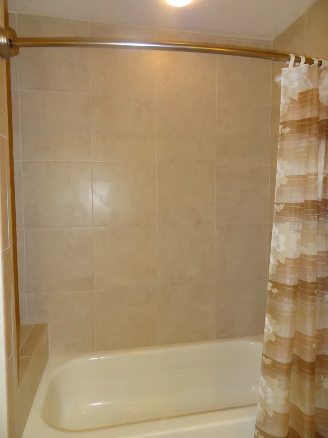 Guest bath shower and tub