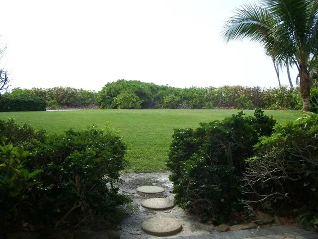 PORT ROYAL! BEACH FRONT HOUSE BEACH FRONT HOUSE photo 11