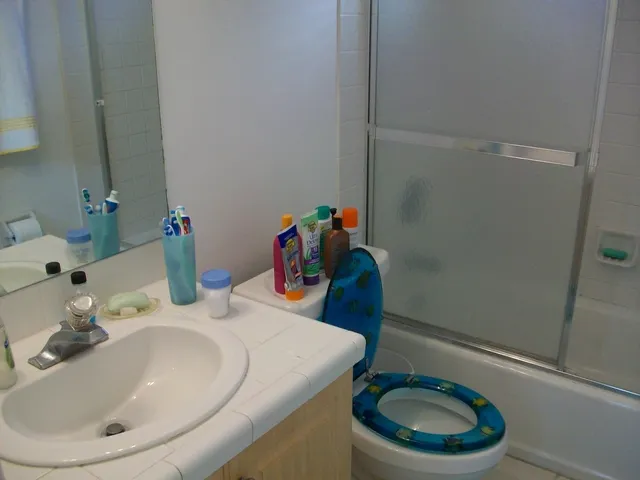 Guest Bathroom