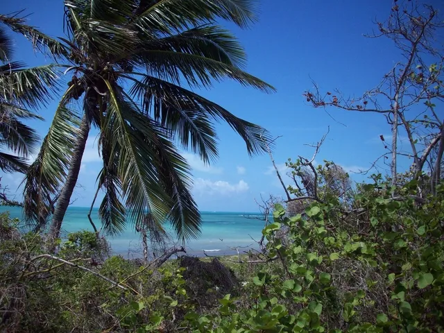 Gulf of Mexico