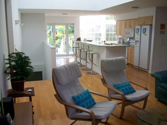 Living room and kitchen