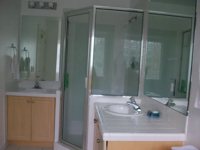 Walk-in shower in Master Bathroom