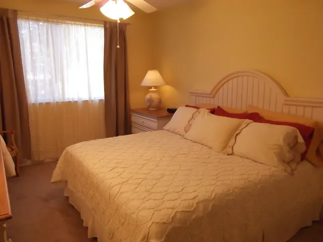 Master bedroom has a kingsize bed, a walk-in closet, a regular closet.