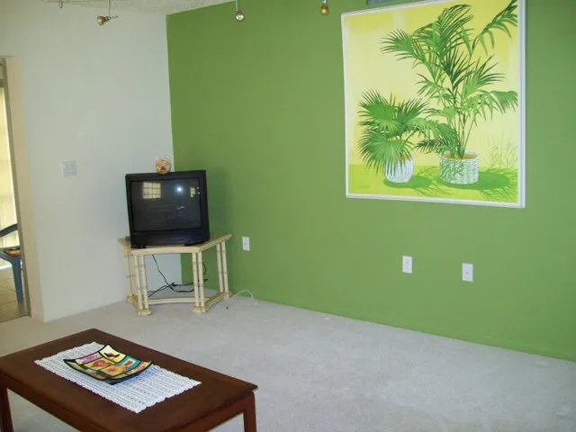 Vista Palms photo 8