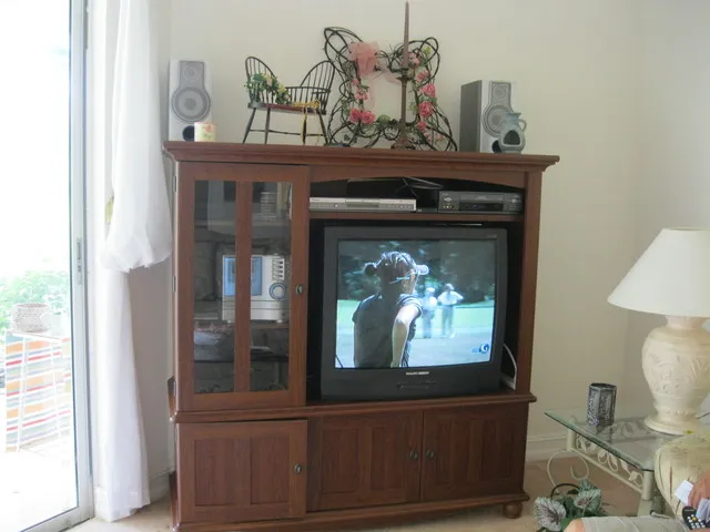 TV in Living Room