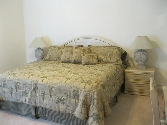 Master bedroom-king size bed