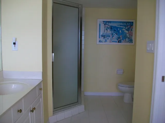 MASTERBATH with SHOWER, TUB and DOUBLE SINKS