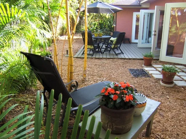 Private, peaceful back yard with bamboo and palms