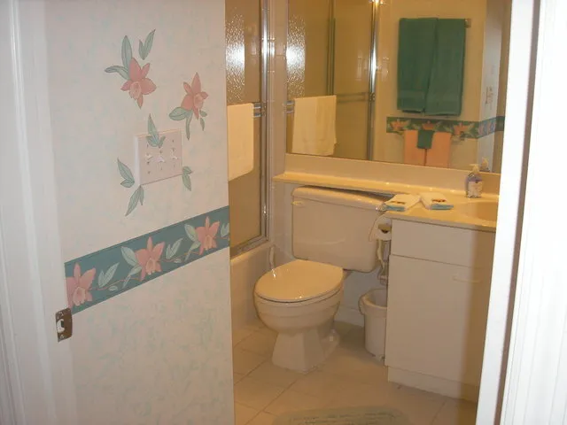 Second or central bath across from guest bedroom